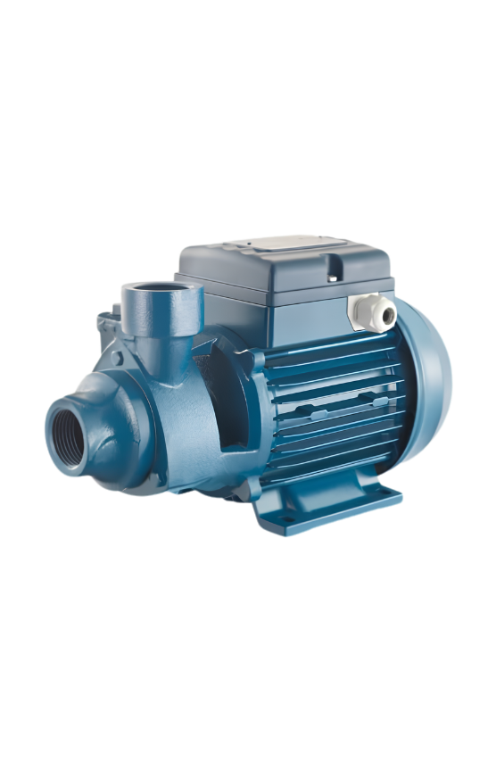PENTAX PM 45 Water Pump | 0.5HP | 40m Head | Italy